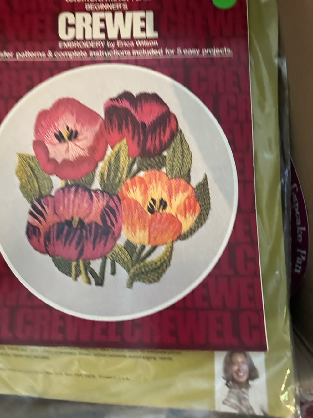Beginner's Crewel Embroidery Vol 788 Erica Wilson 1974